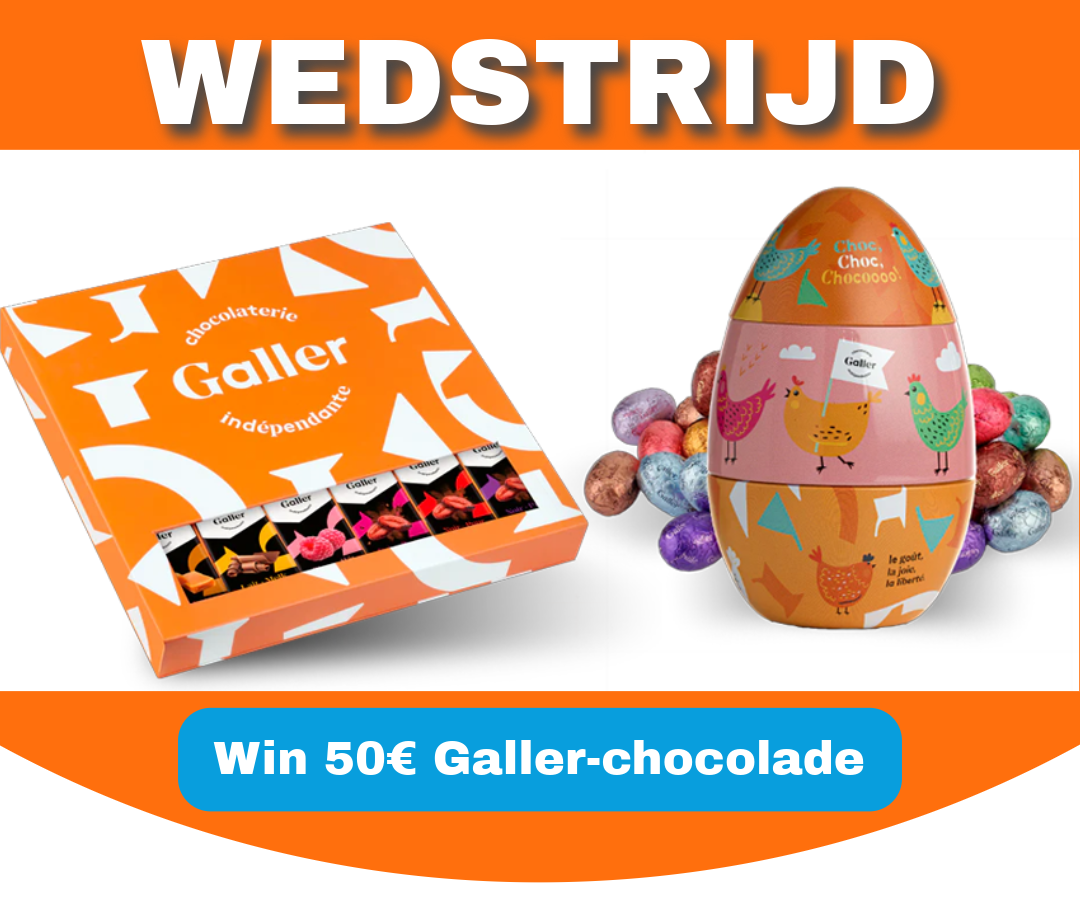 Illustration de Test concours bilingue 