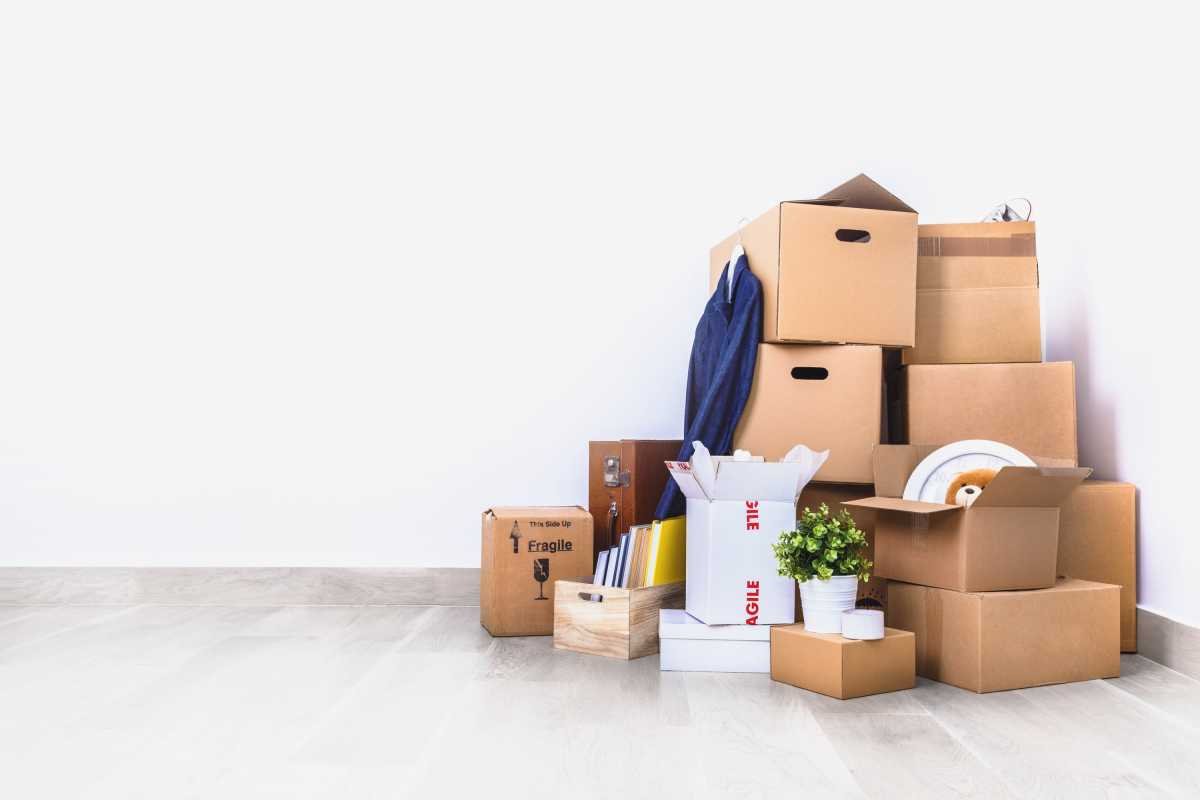 Illustration de lot de 50 carton 